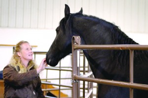 anna twinney with black horse