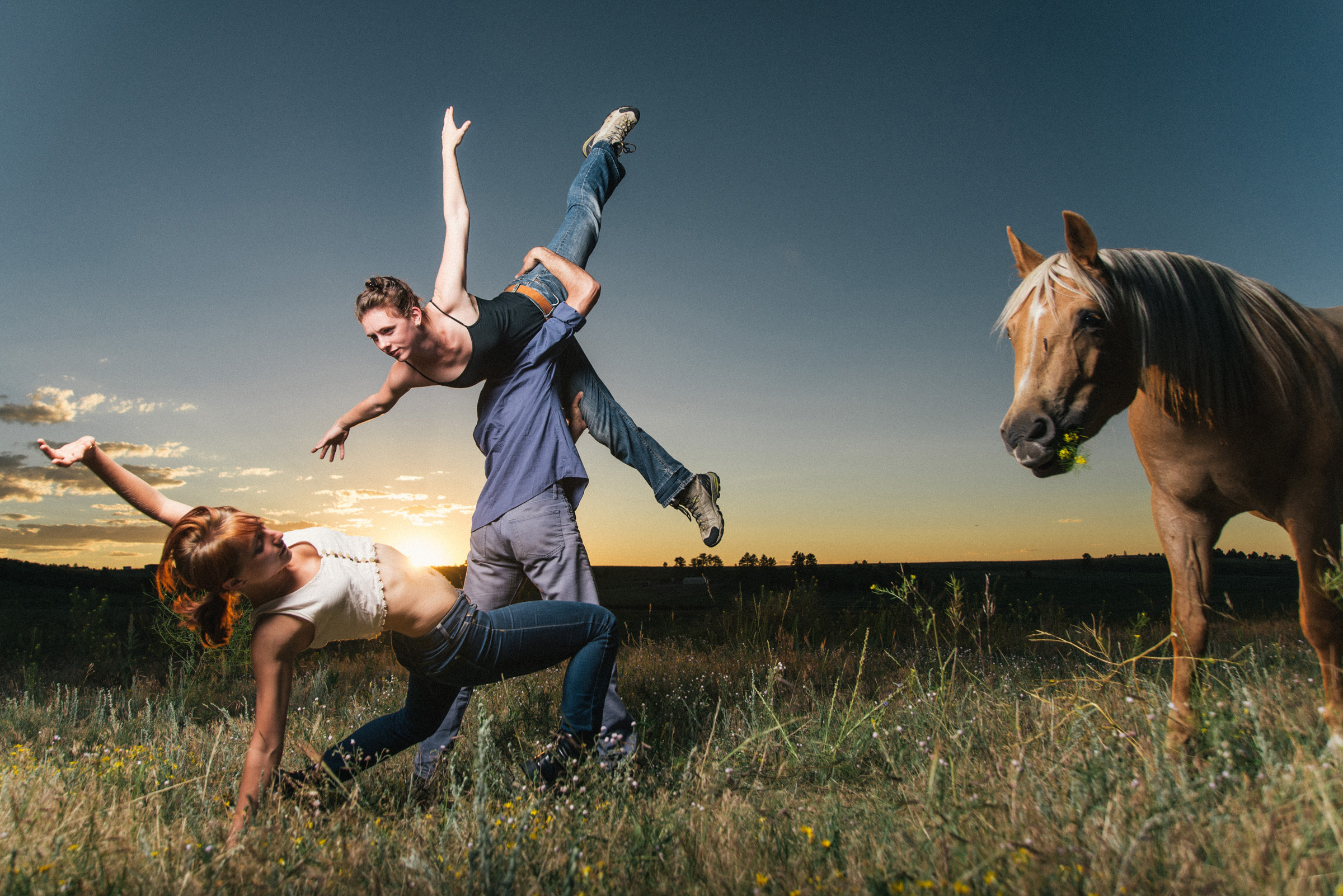 dancing with horses 1