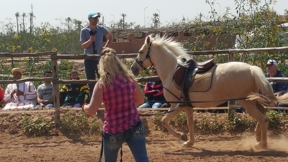 Anna Twinney demonstrates gentle horsemanship in Morocco. Moroccan horse owners were very receptive to her non-aggressive techniques. 