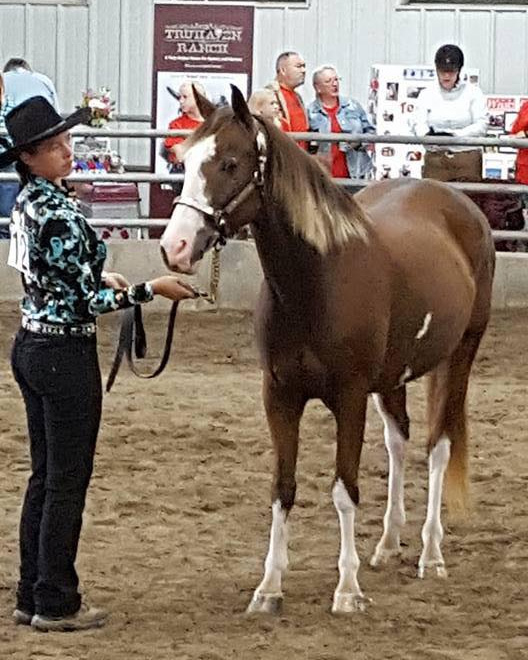 Ranger with Tiahna Flemming, winners of the Sixth Overall High Point at the 9th MHARF Trainer's Challenge of the Unwanted Horse Saturday, Sept. 17 at Leatherdale Equine Center in St. Paul, MN.