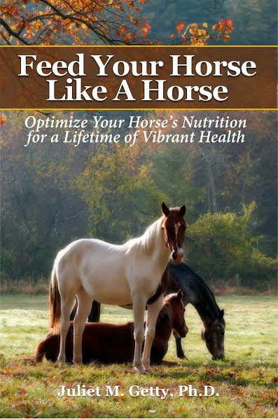 feed-your-horse-like-a-horse