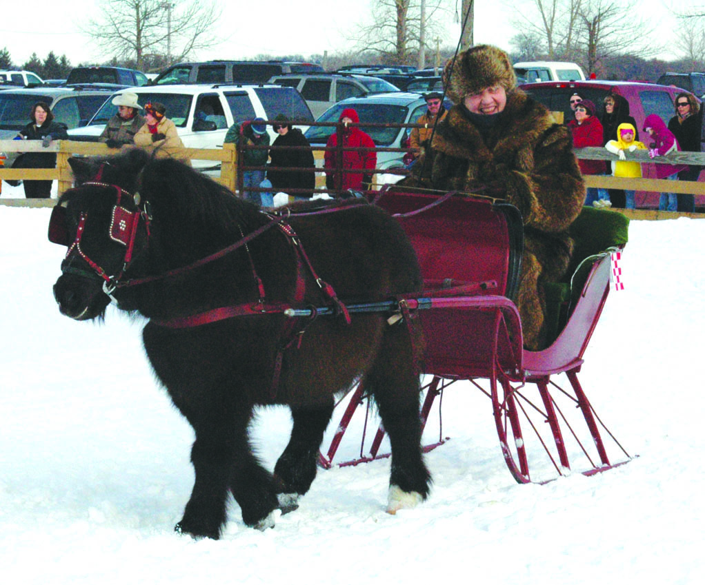 Mary Block driving Jett at the 2008 St. Croix Sleigh Fest, VEN file photo.