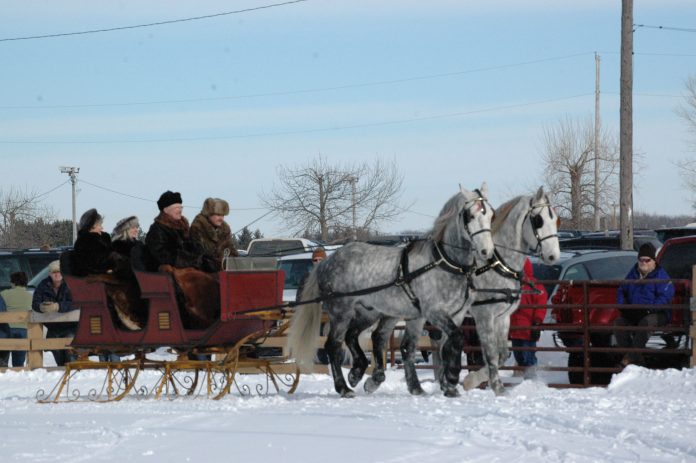 spotted gray horses pull a sleigh in the snow. Photo by Ley Bouchard, LeKreations LLC, Valley Equestrian News