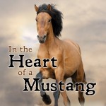 Heart Of Mustag Cover