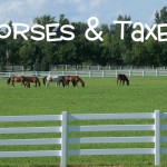 horses & taxes
