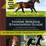 Horse Standards ad mar 16