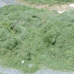 grass pile 2