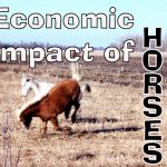 economic impact of horses
