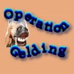 operation-gelding-featred-image-for-web-site-1016