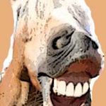 smiling-palomina-horse-pal-bkgd