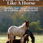feed-your-horse-like-a-horse